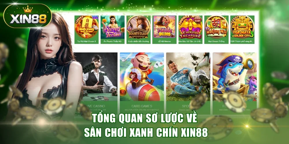 Tổng quan sơ lược về sân chơi xanh chín XIN88